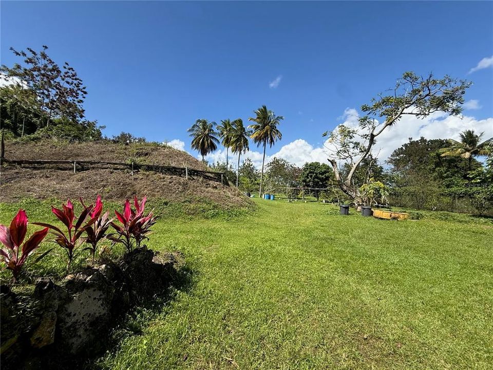 待售: $245,000 (1.48 acres)