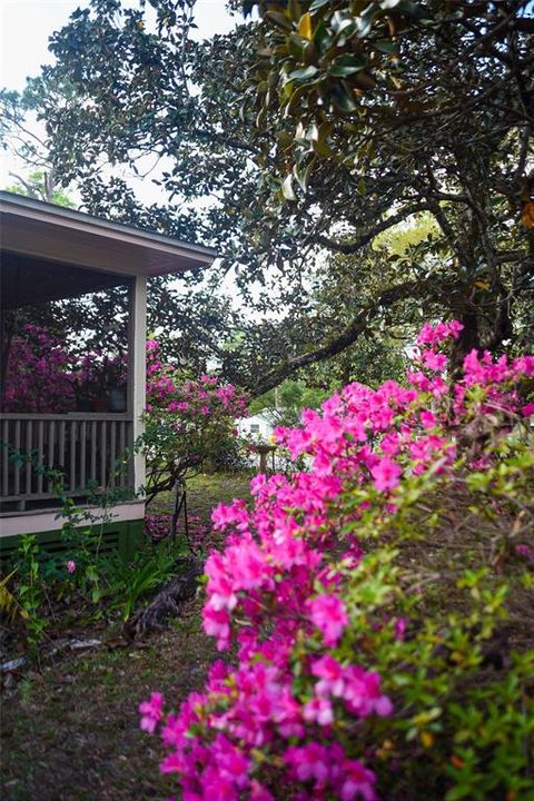 待售: $350,000 (3 贝兹, 2 浴室, 1180 平方英尺)