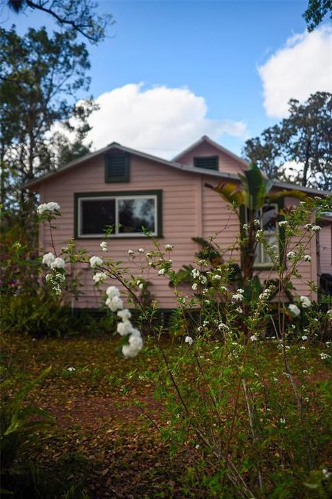 待售: $350,000 (3 贝兹, 2 浴室, 1180 平方英尺)