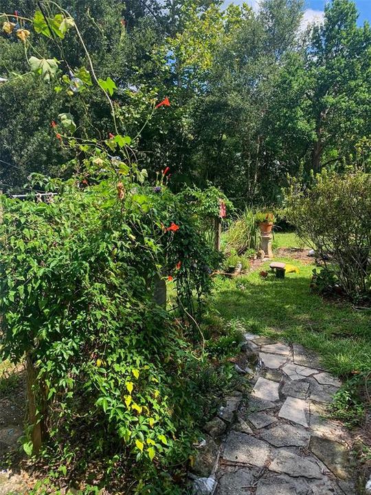 待售: $350,000 (3 贝兹, 2 浴室, 1180 平方英尺)