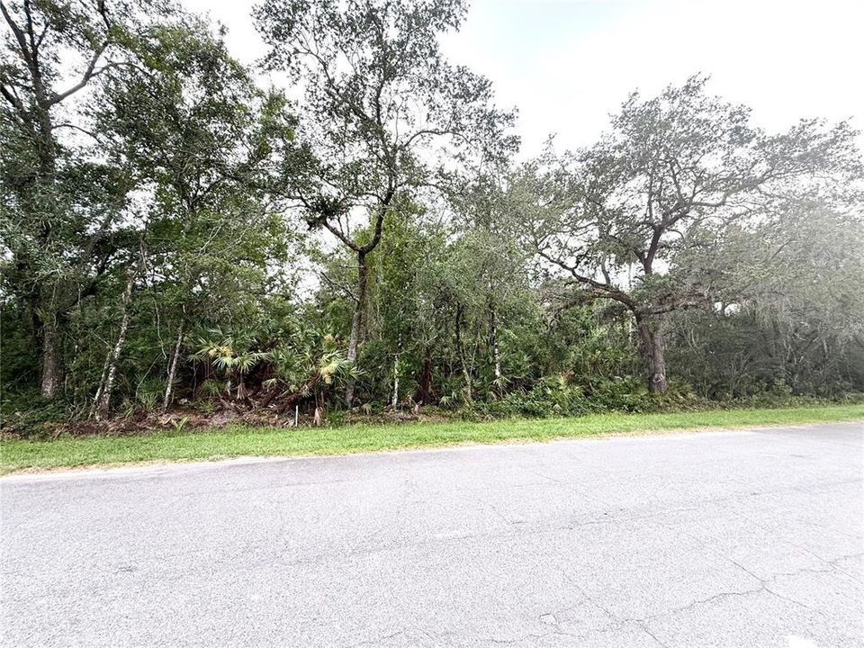 Vendido Recientemente: $144,900 (1.04 acres)