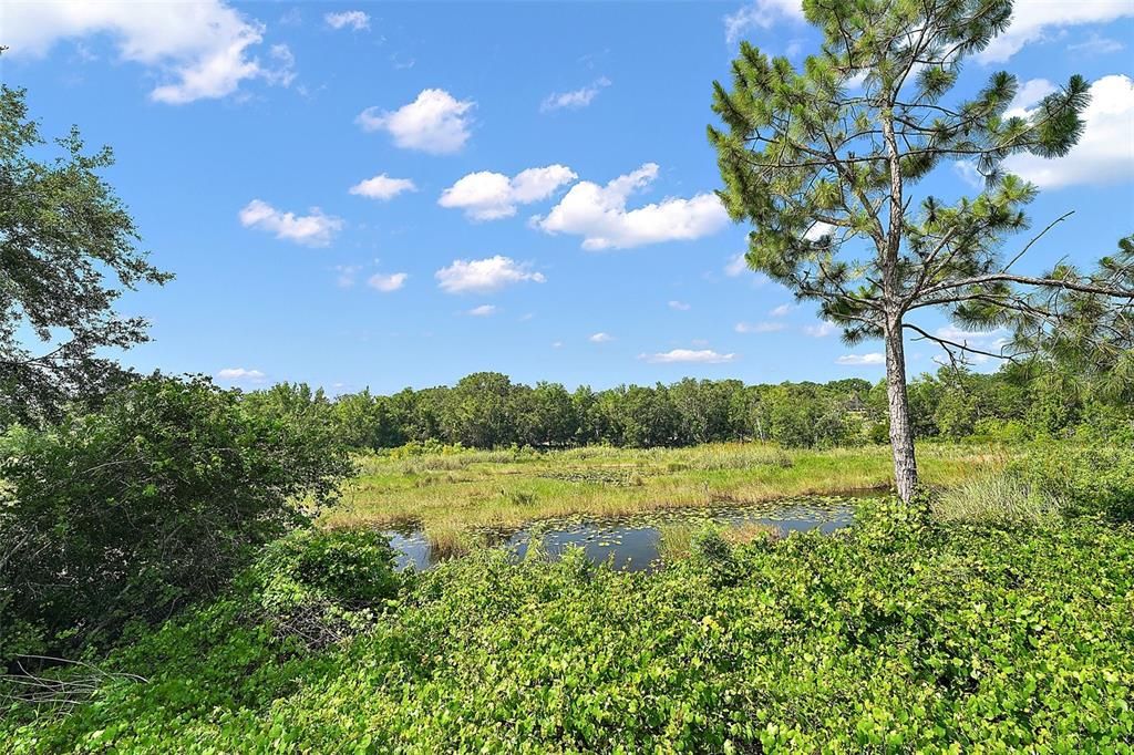 CONSERVATION AREA