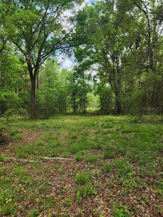 待售: $170,000 (8.25 acres)