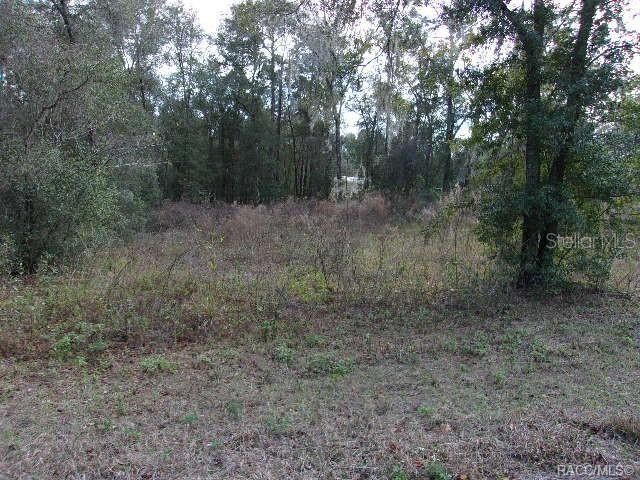 For Sale: $20,000 (0.22 acres)