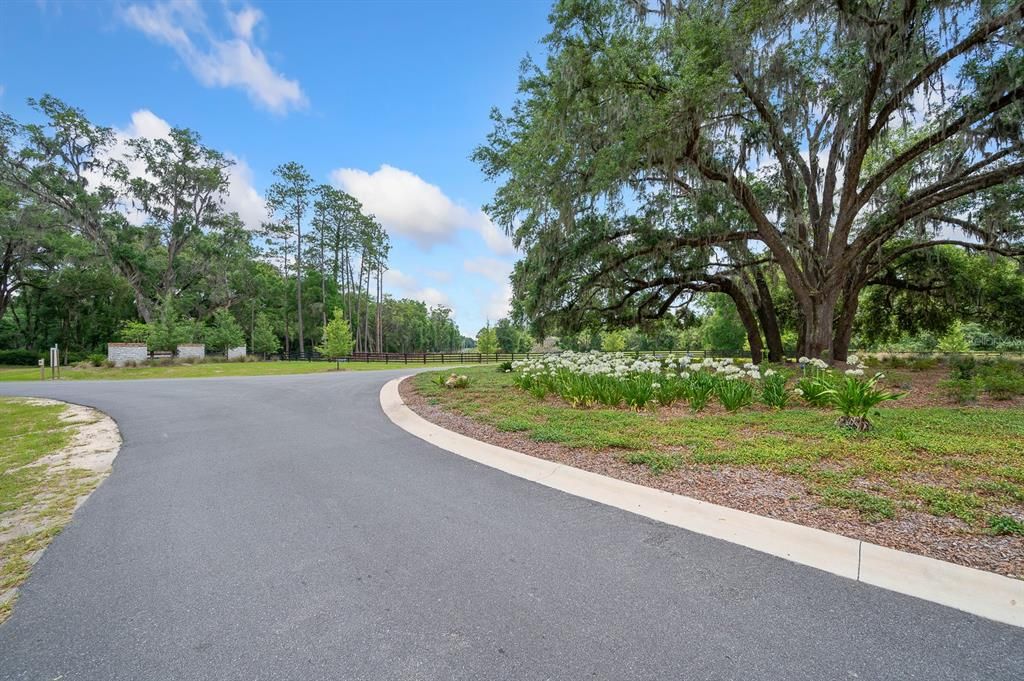 En Venta: $1,500,000 (25.02 acres)