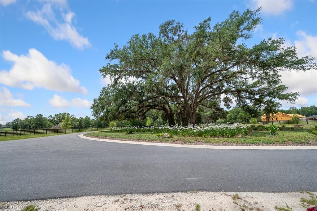 En Venta: $1,500,000 (25.02 acres)