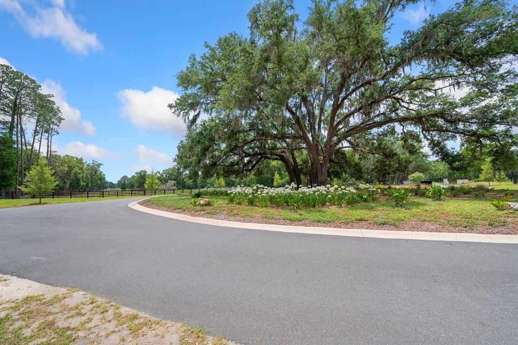 En Venta: $1,500,000 (25.02 acres)