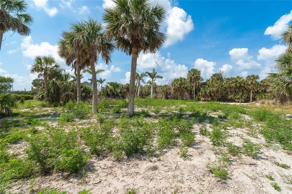 Active With Contract: $549,000 (0.28 acres)