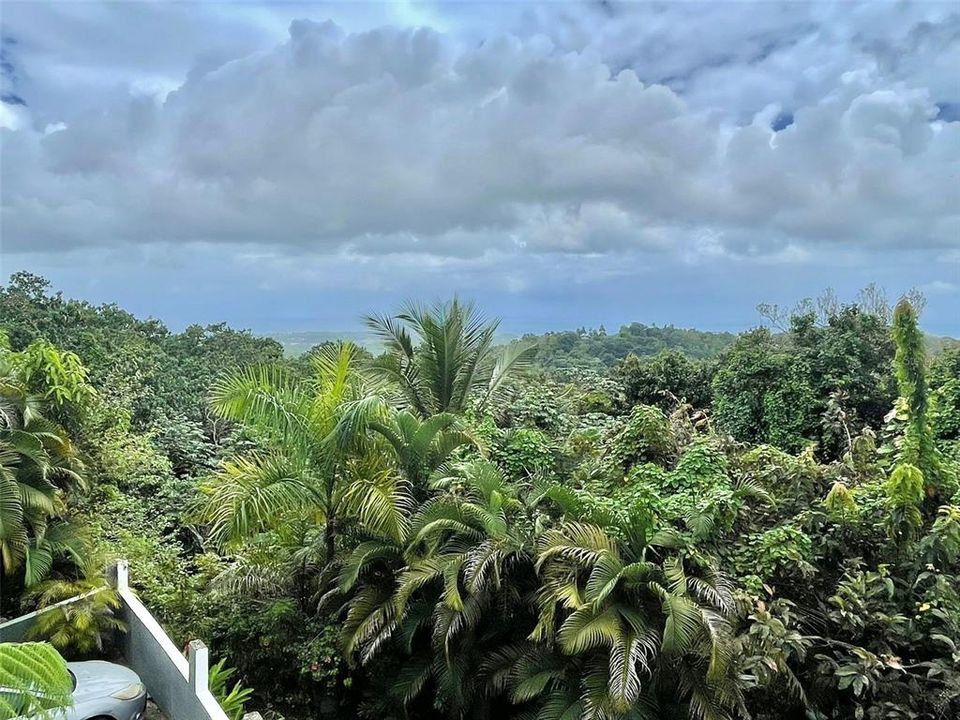 For Sale: $575,000 (4 beds, 3 baths, 0 Square Feet)