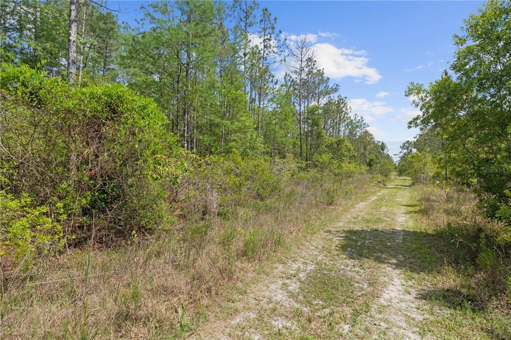 待售: $11,500 (1.25 acres)