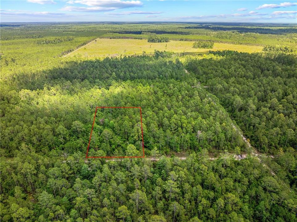 待售: $11,500 (1.25 acres)