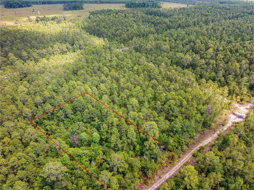 待售: $11,500 (1.25 acres)