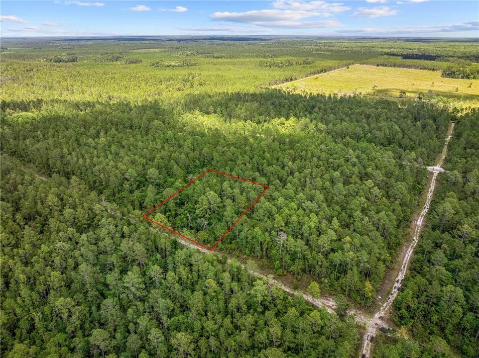 待售: $11,500 (1.25 acres)