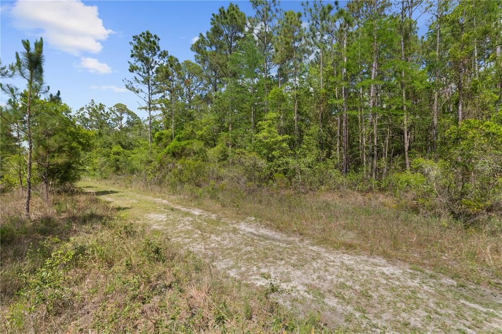 待售: $11,500 (1.25 acres)