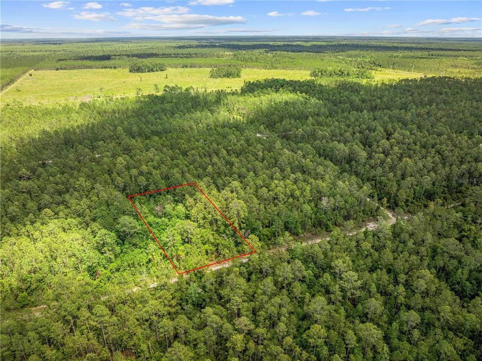 待售: $11,500 (1.25 acres)