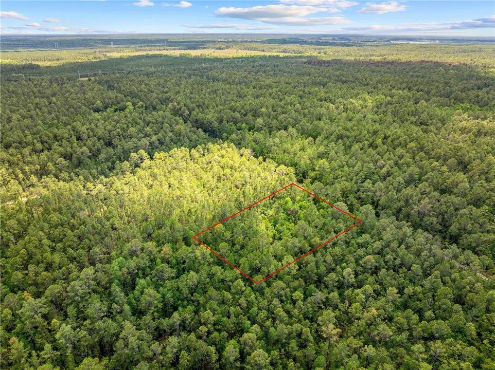 待售: $11,500 (1.25 acres)