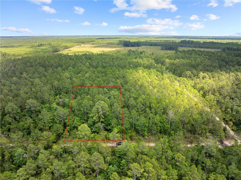 待售: $11,500 (1.25 acres)