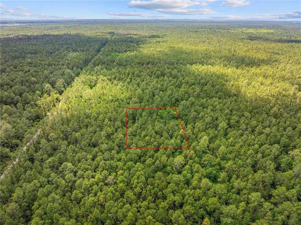 待售: $11,500 (1.25 acres)