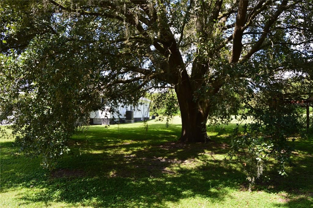 For Sale: $595,000 (4 beds, 3 baths, 2316 Square Feet)