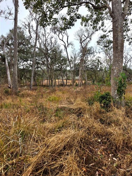 En Venta: $269,000 (10.60 acres)