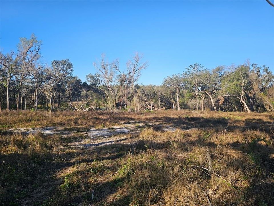 For Sale: $270,000 (10.60 acres)