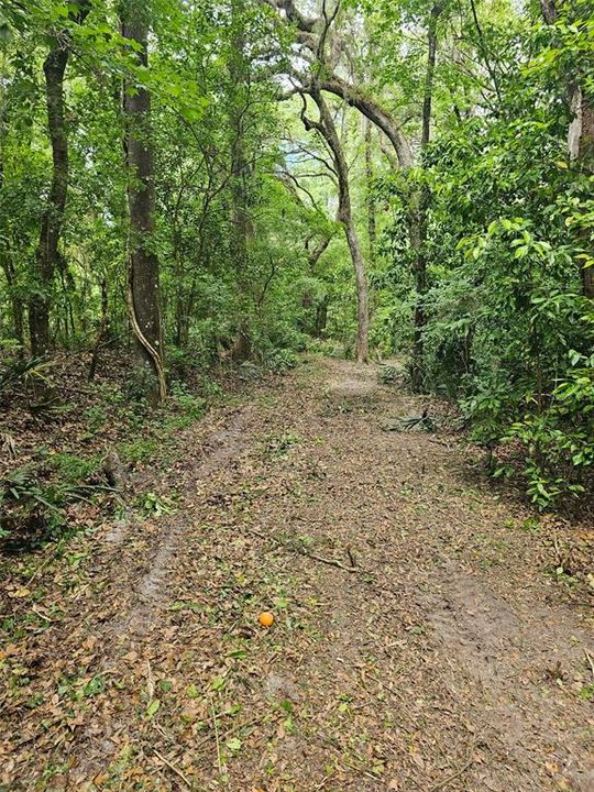 For Sale: $270,000 (10.60 acres)