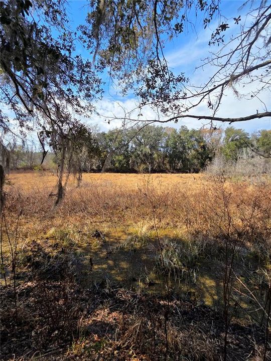 En Venta: $269,000 (10.60 acres)