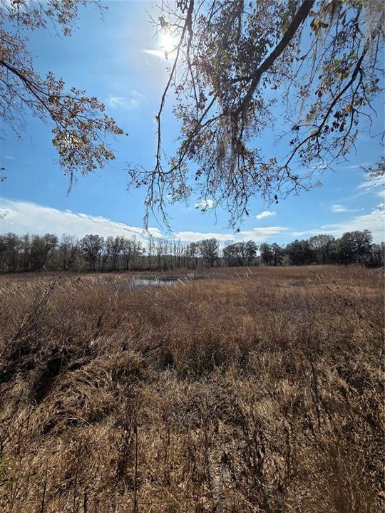 En Venta: $269,000 (10.60 acres)