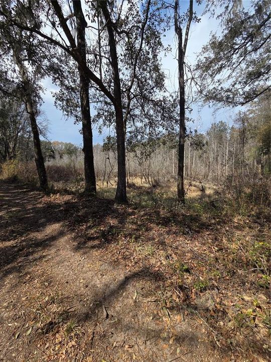 En Venta: $269,000 (10.60 acres)