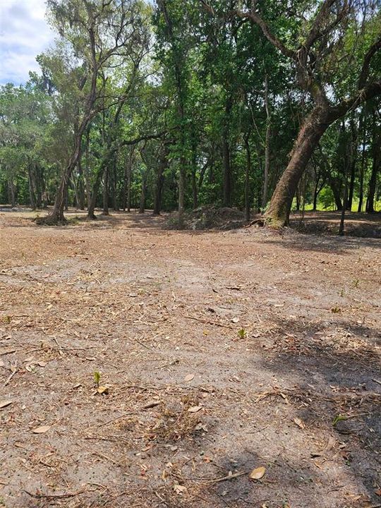 For Sale: $270,000 (10.60 acres)