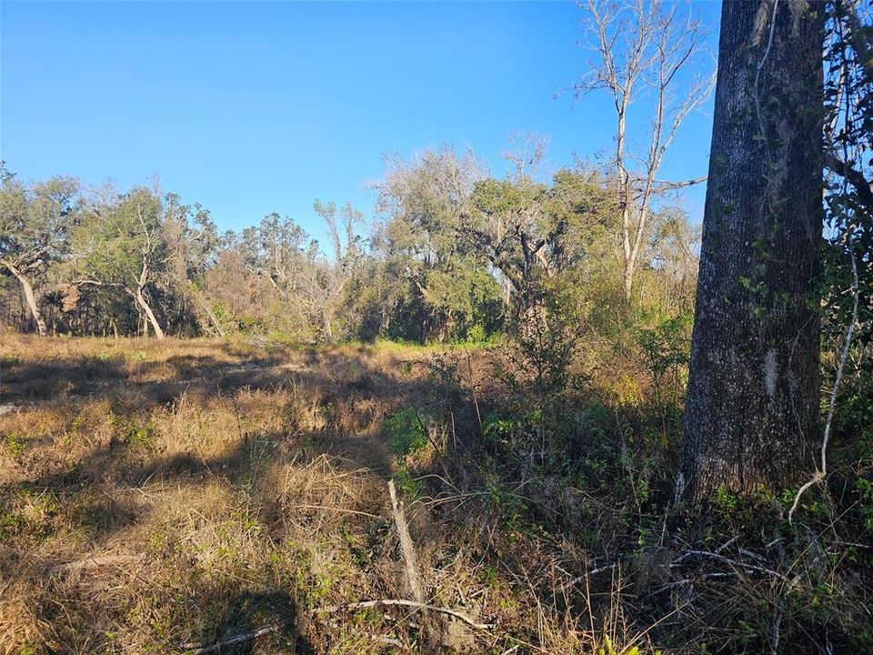 For Sale: $270,000 (10.60 acres)