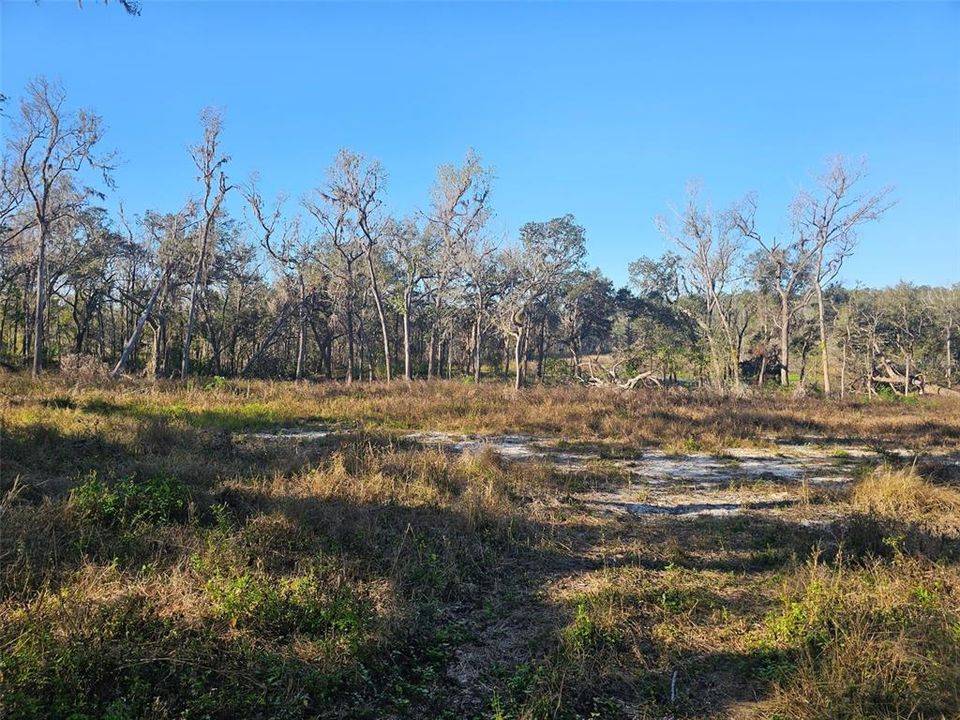 For Sale: $270,000 (10.60 acres)