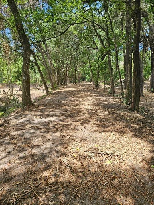 For Sale: $270,000 (10.60 acres)