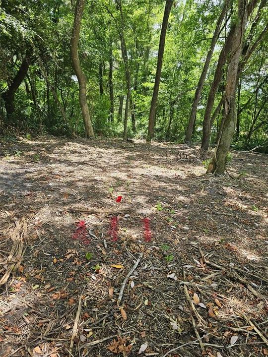 For Sale: $270,000 (10.60 acres)