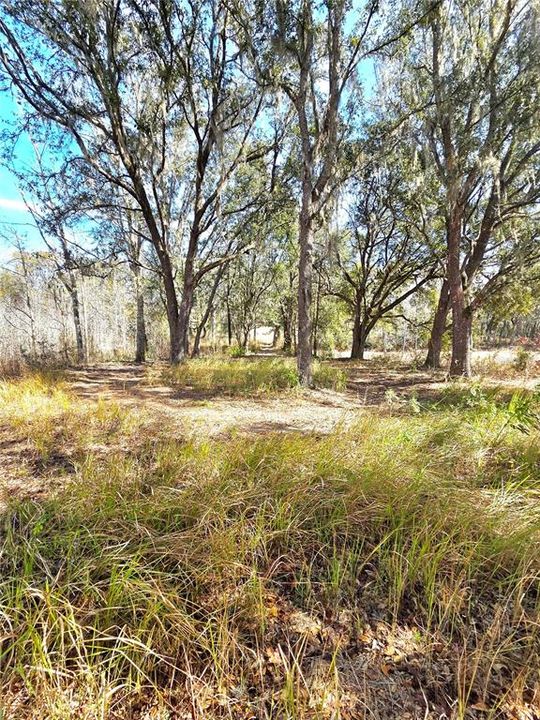 En Venta: $269,000 (10.60 acres)