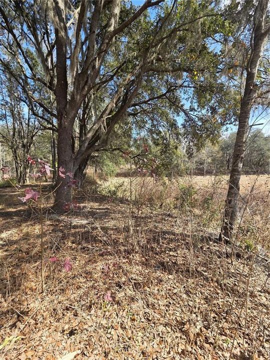 En Venta: $269,000 (10.60 acres)