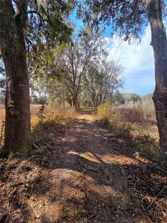 En Venta: $269,000 (10.60 acres)