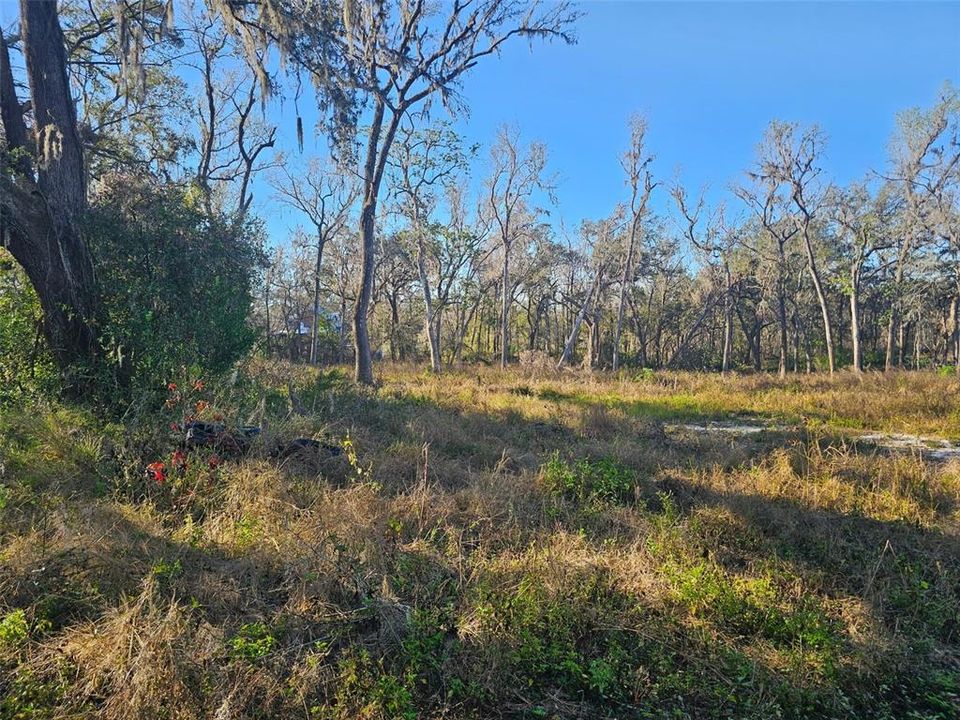 For Sale: $270,000 (10.60 acres)