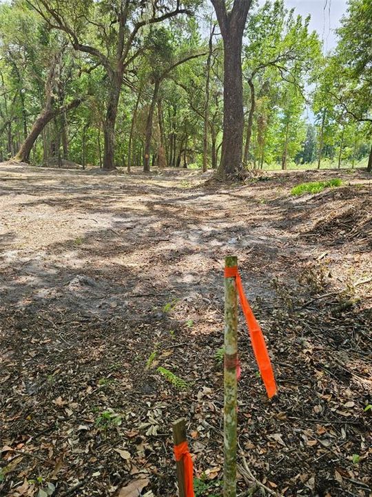 For Sale: $270,000 (10.60 acres)