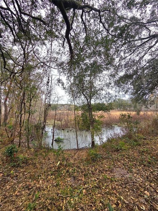 En Venta: $269,000 (10.60 acres)