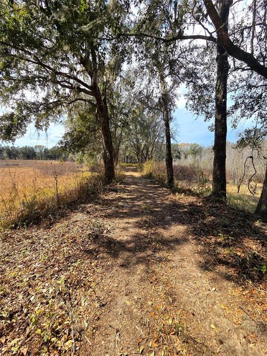 En Venta: $269,000 (10.60 acres)