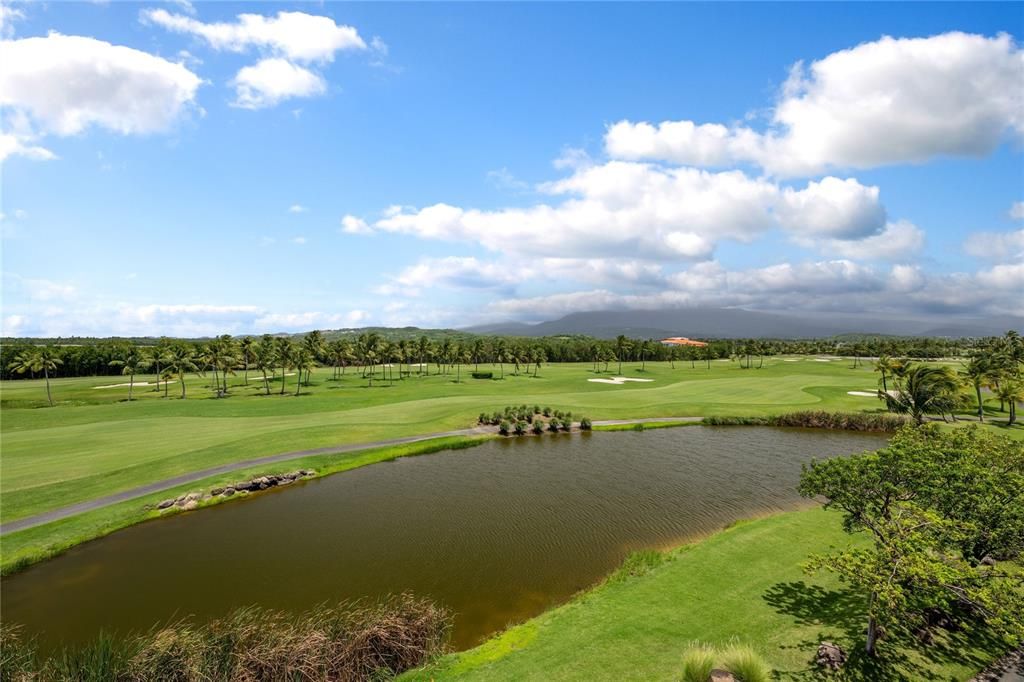 待售: $2,495,000 (4 贝兹, 3 浴室, 2696 平方英尺)