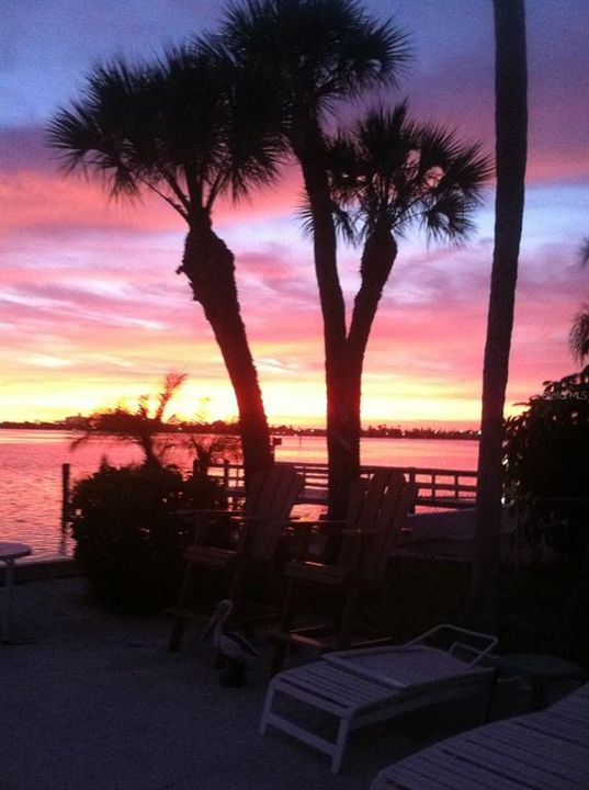 En Venta: $1,299,999 (0.24 acres)