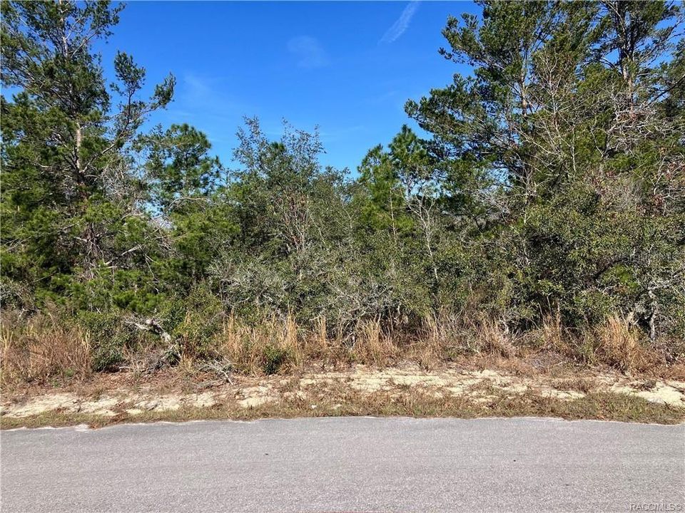 For Sale: $27,000 (0.28 acres)