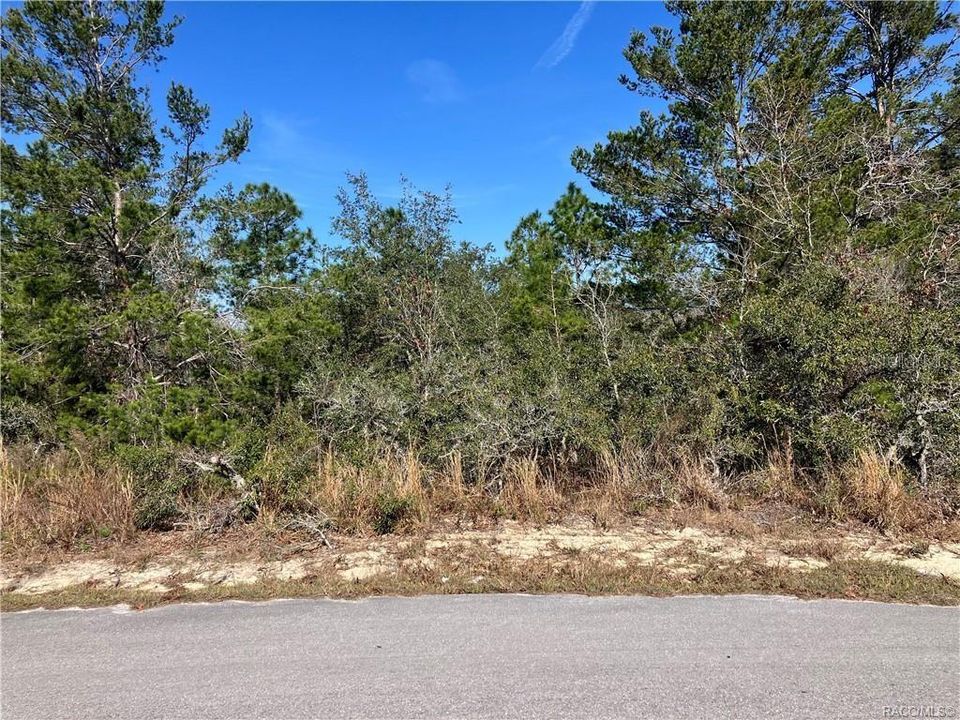 For Sale: $27,000 (0.28 acres)