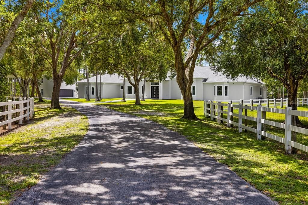 Winding and Tree-Lined Driveway