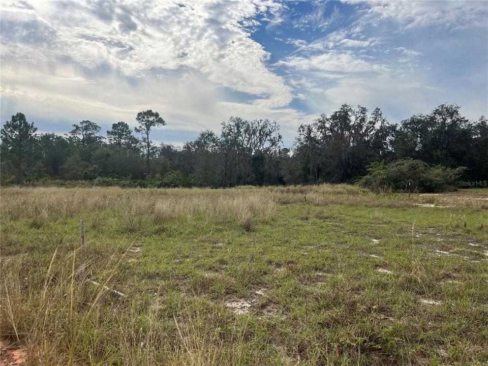 合同活跃: $110,000 (4.56 acres)