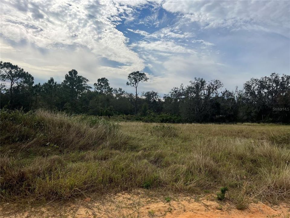 合同活跃: $110,000 (4.56 acres)