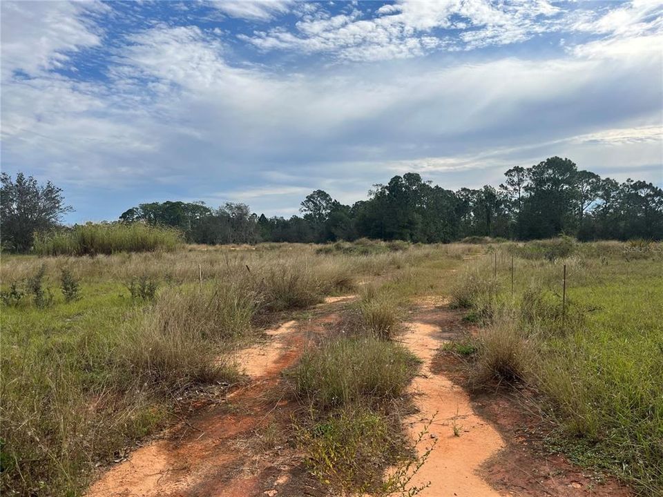 合同活跃: $110,000 (4.56 acres)