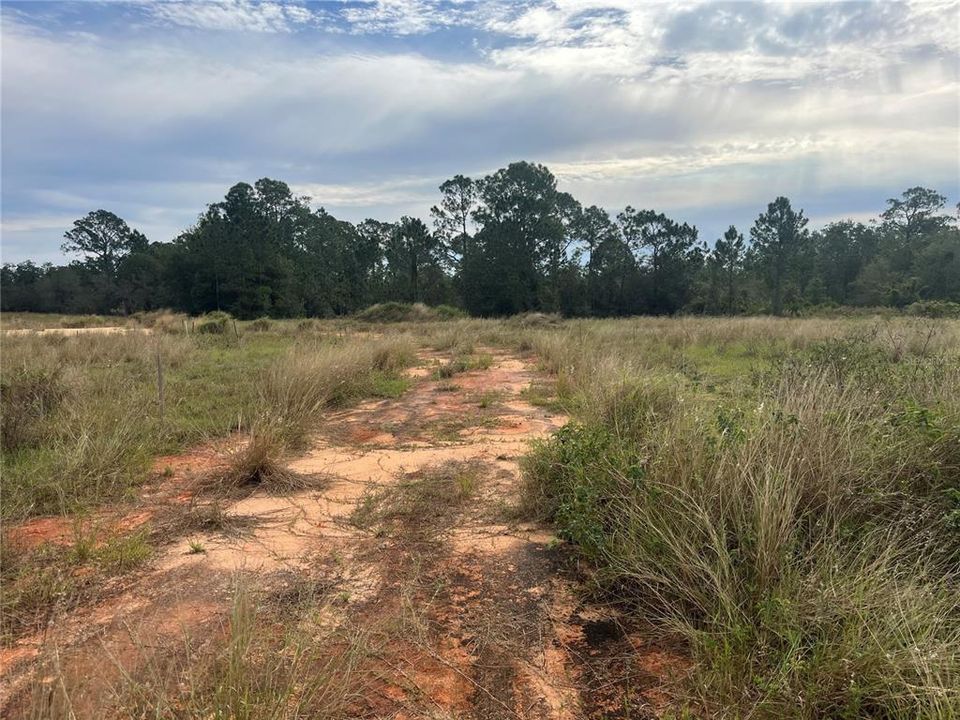 合同活跃: $110,000 (4.56 acres)